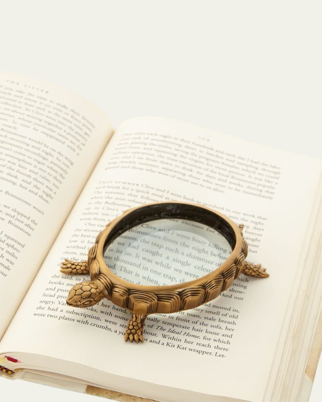 Turtle Magnifying Glass